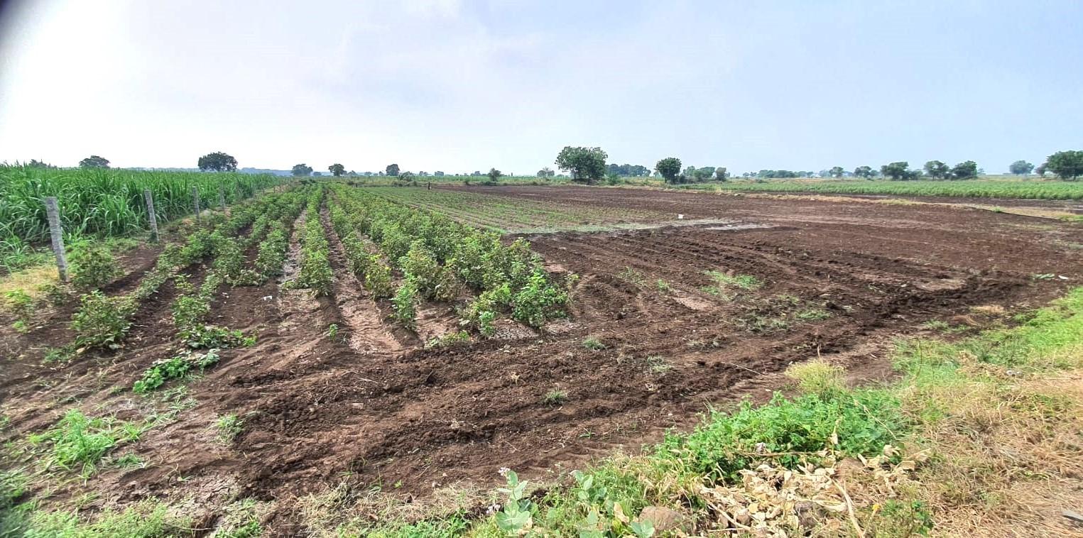 Riverside 37 Acre Land Fully irrigated For Outright sale