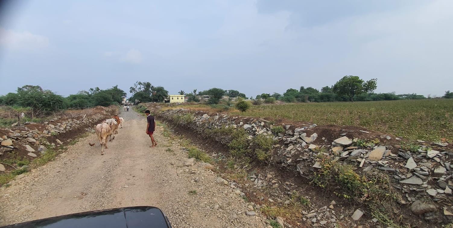 9 acre Agriculture land for sale