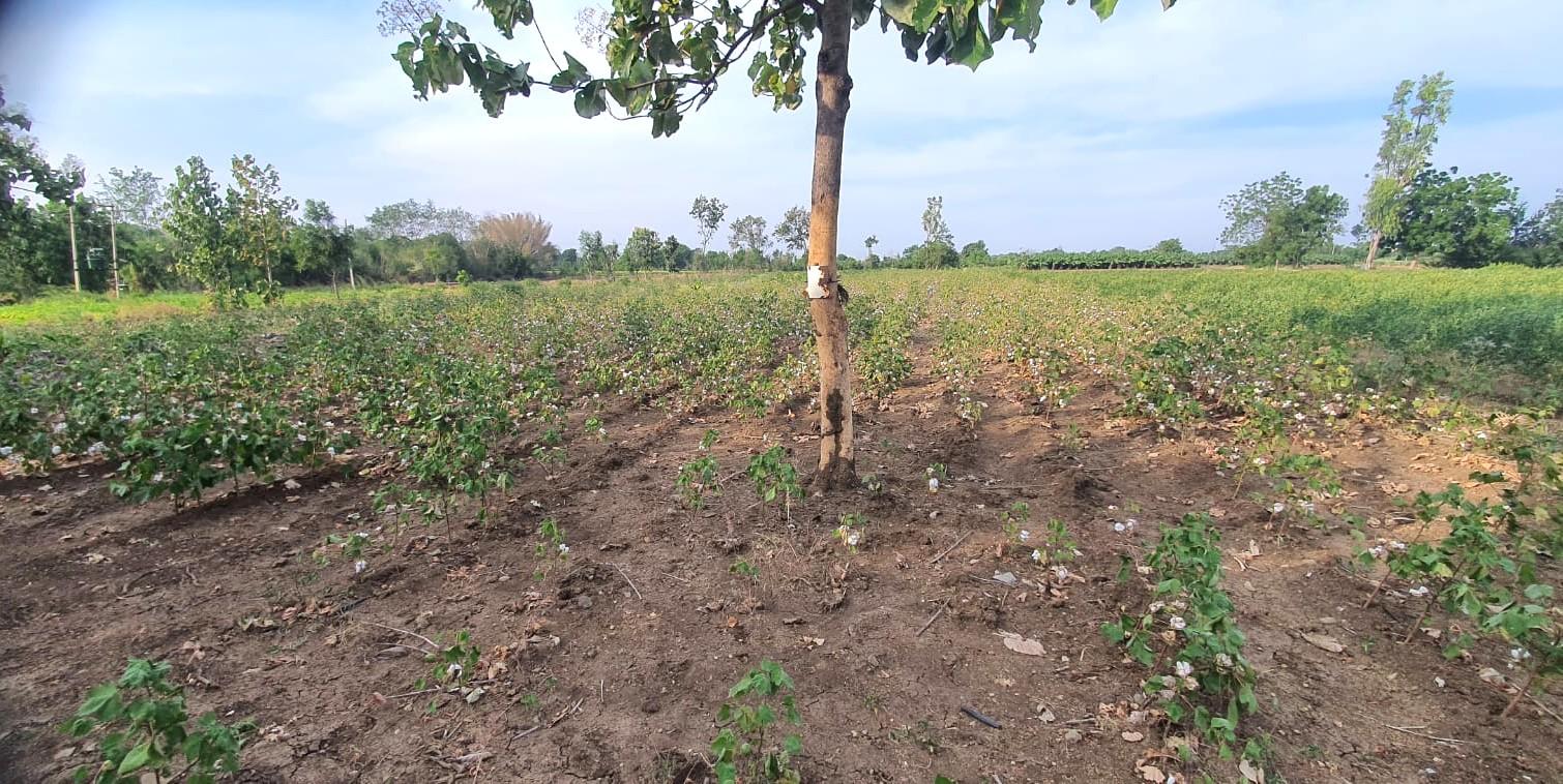 5 Acre land for Sale at pala main road attached kalaburagi