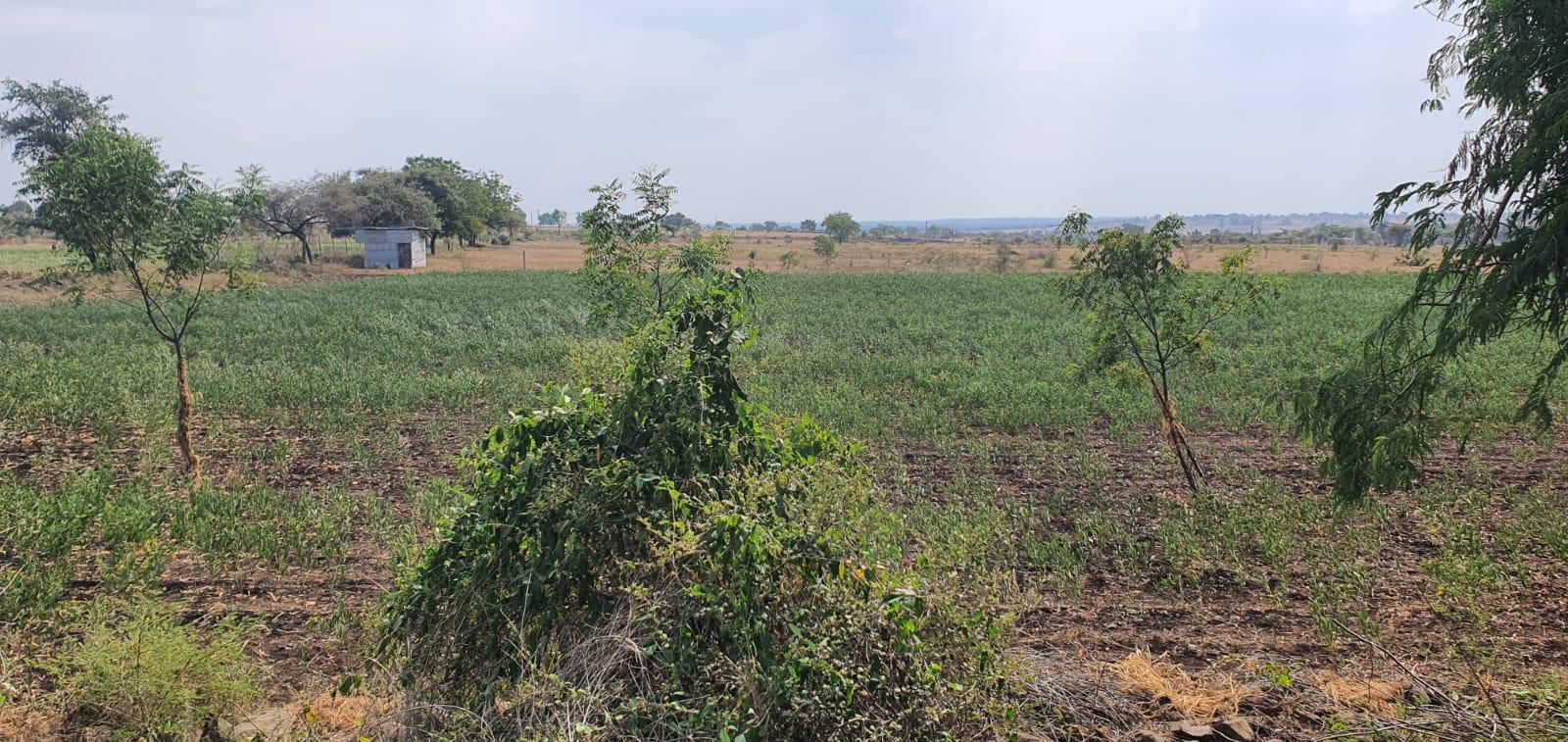 35 acre for Sale at Aland Road Attached with 50 feet Approach Road
