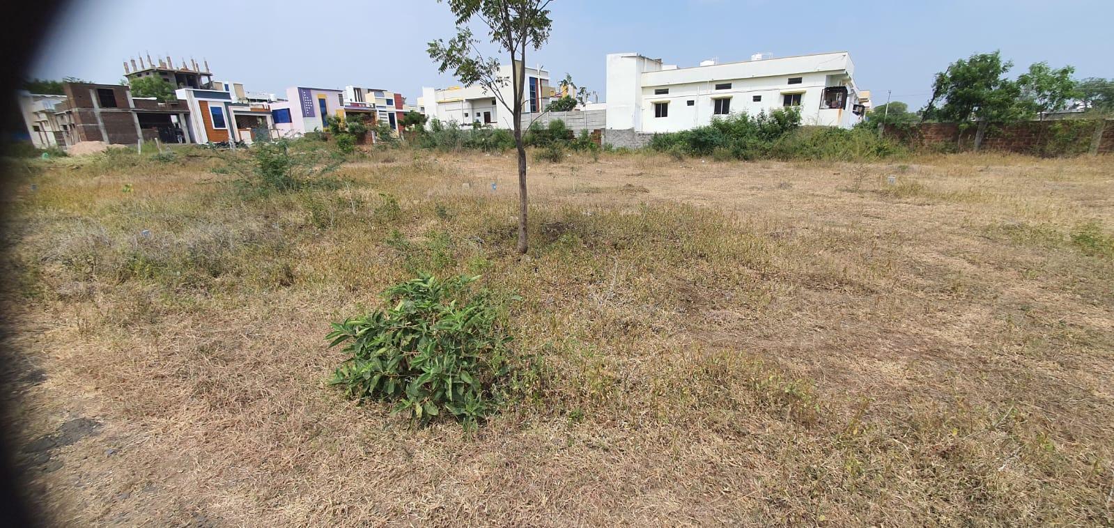 Affordable Priced Plot for Sale 1200Sqft at Hirapur Village at Sy No 28/1